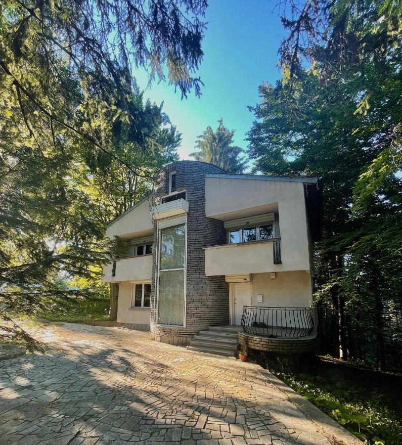 Villa Alexa Borowec Zewnętrze zdjęcie
