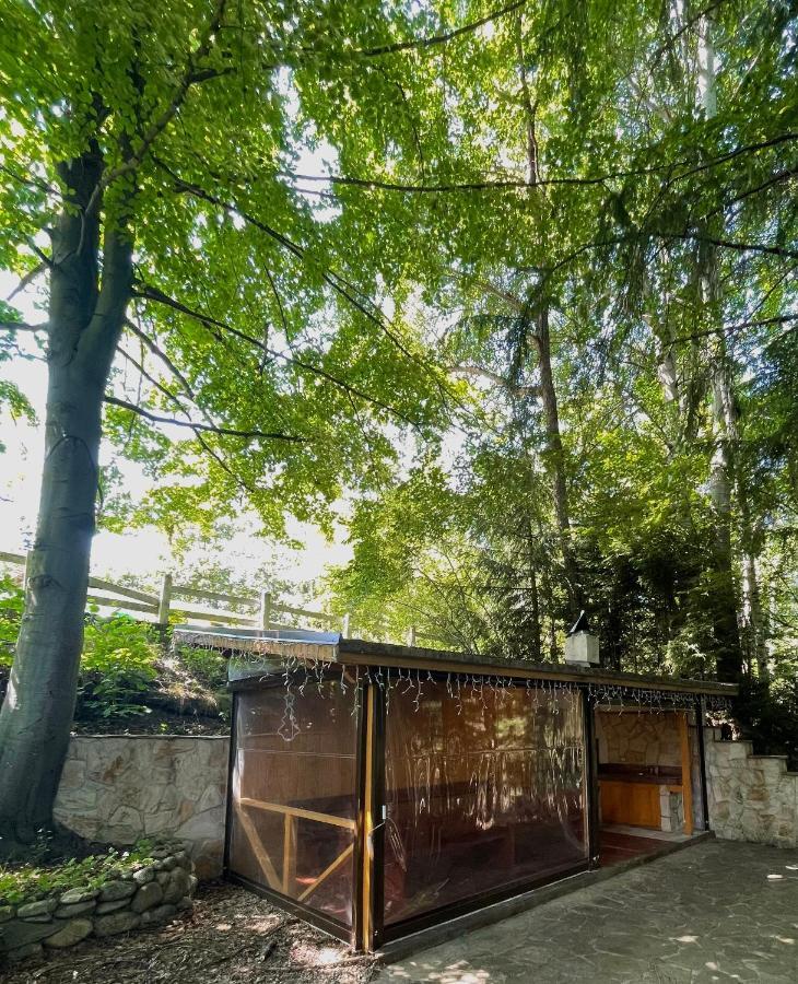 Villa Alexa Borowec Zewnętrze zdjęcie