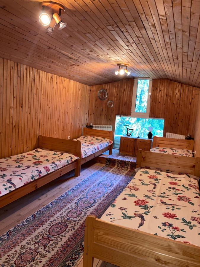 Villa Alexa Borowec Zewnętrze zdjęcie